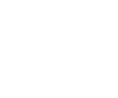 Vision Brookings